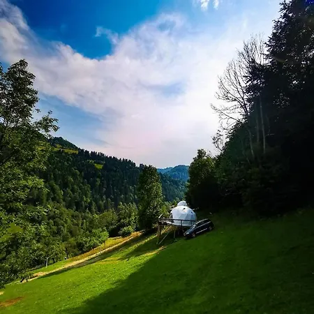 Apuseni Glamping Retreat Luksustelt *
