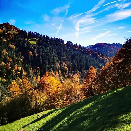 Apuseni Glamping Retreat *