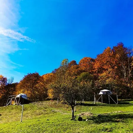 Apuseni Glamping Retreat * Bucium (Alba)