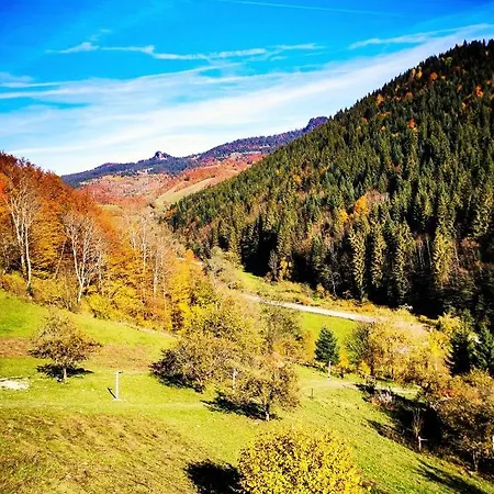 Luksustelt Apuseni Glamping Retreat Bucium (Alba)